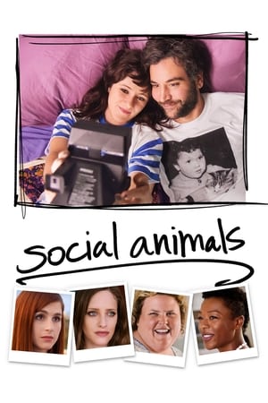 Animaux Sociaux