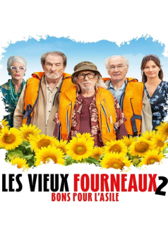 Les Vieux Fourneaux 2: Bons pour l'asile