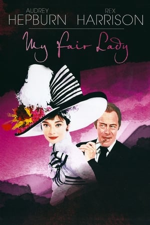 My fair Lady